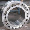 NNU 6/19.05-2LSV	Frac Pump Bearing